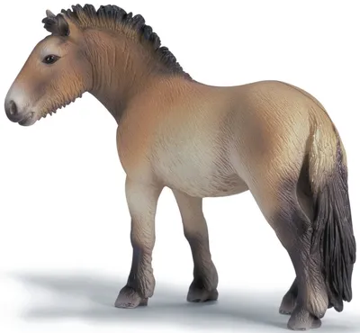 Obrázok produktu pre schleich 13620, 3 rok / roky, Hnedá, Plast