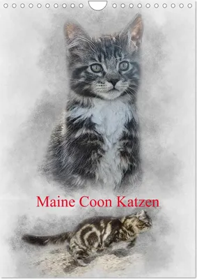 Produktbild von Maine Coon Katzen (Wandkalender 2025 DIN A4 hoch), CALVENDO Monatskalender