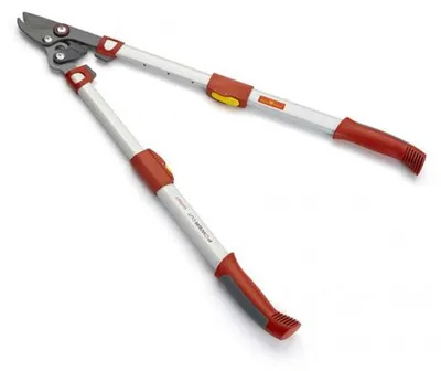 Image de Elagueur télescopique à coupe franche 50 mm OUTILS WOLF OS900T - Powercut