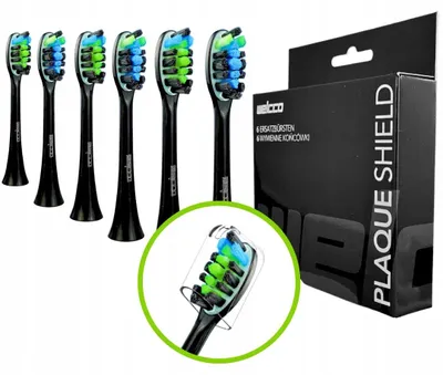 Image de Welcco Têtes de brosse à dents DenticBlack BL101 Noir Lot de 6