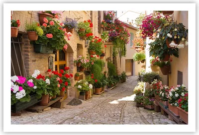 Produktbild von Poster - Poster ohne Rahmen - Blume Straße Haus - 91,5x61 cm - Wand Bild - Wanddeko - Wandbilder - Kunstposter - Wandposter - Bilder - Kunstdruck - Wanddekoration - Wandbild - P2XAA91x61-3586