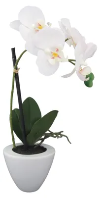 Produktbild von Kunstblume Phalaenopsis. Orchidee im Keramiktopf. ca 36cm. Weiß WEISS