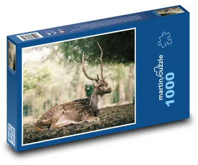Zdjęcie produktu dla martinpuzzle - Puzzle 1000 elementów - Dzikie zwierzęta