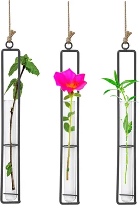 Produktbild von Kreative schmiedeeiserne Glasvase mit Reagenzglas - Wandhalterung mit Juteseil für Haus- und Gartendekoration (27,3*4cm)
