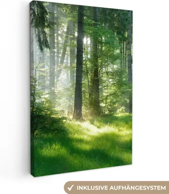 Produktbild von MuchoWow® - Leinwandbilder - Natur - Bäume - Wald - Grün - Sonne - Gras - Pflanzen, Wandbild, Wanddeko Bilder Wohnzimmer, 40x60cm