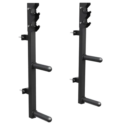 Produktbild von GORILLA SPORTS® Hantelscheibenständer für die Wand – 4 Halter (30/50 mm), bis 75 kg Tragkraft, Haken für Langhantelstangen, Stahlkonstruktion