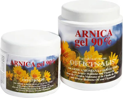 Produktbild von Gel OFFICINALIS Arnica 90 % 1 L Dose