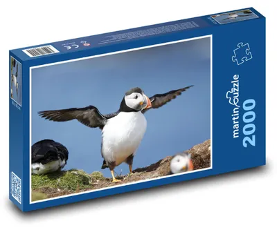 Produktbild von Puzzle 2000 Papageitaucher auf Meeresklippe - martinpuzzle