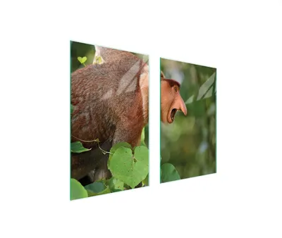Produktbild von Glasschutzplatte Für Herd 75X52 Nosacz