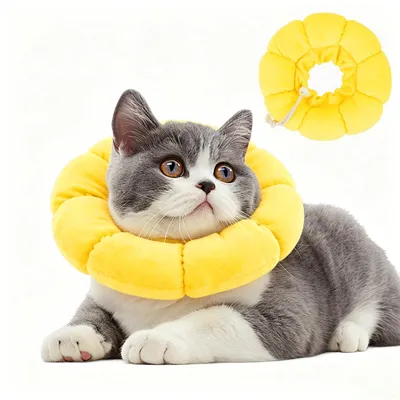 Productafbeelding van Kattenhalskragen voor nazorg, verstelbaar van 18-26 cm, zachte kraag