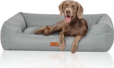Immagine prodotto di Cuccia per cani Emma in velluto in colori pastello XL benzina