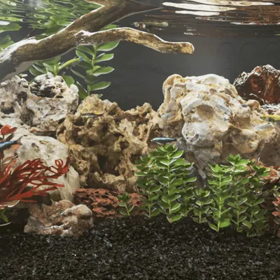 Produktbild von Schlichtes Drachensteine 25 kg Mehrfarbig 10-30 cm - Aquarien DE4376443 1parcel