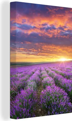 Produktbild von MuchoWow® - Leinwandbilder - Lavendel - Wolken - Frühling, Wandbild, Wanddeko Bilder Wohnzimmer, 60x90 cm