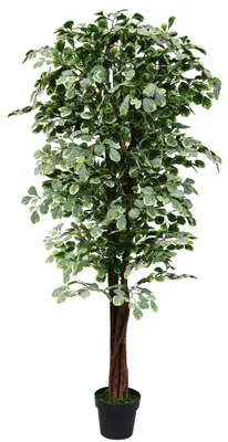 Immagine prodotto di Fico Ficus Benjamin Pianta Albero Artificiale Plastica con Legno Naturale 180cm Decovego