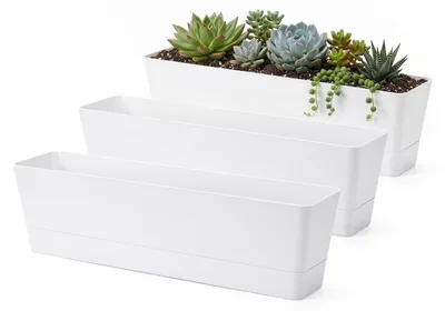 Image de Lot de 3 grands pots de culture pour herbes aromatiques et plantes succulentes