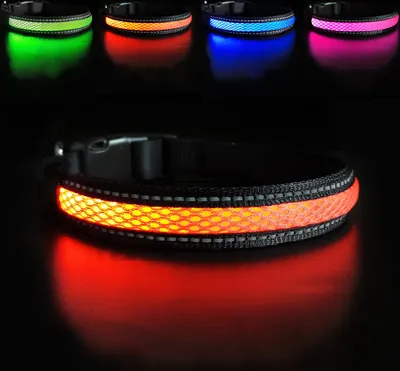 Produktbild von LED Hundehalsband – Leuchtendes Sicherheitshalsband in vielen Farben – USB wiederaufladbar, wasserdicht, 3 Leuchtmodi – Größen S, M, L ORANGE Größe M