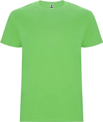 Produktbild von Roly CA6681 | Stafford T-Shirt - Doppellagiger Rundhalskragen - Farbe: Oasis Green 114 - Größe: S
