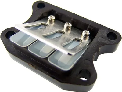 Produktbild von Membranblock RACING, kompatibel für PEUGEOT Speedfight 1 2 TKR SV HONDA Dio Bali
