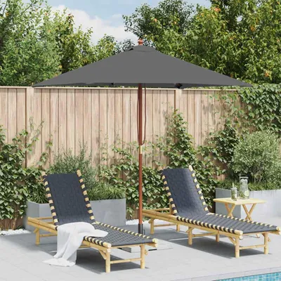 Image de Maison Exclusive - Parasol avec mât en bois, 150x200 cm, anthracite