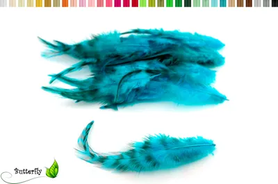 Produktbild von 20 Hahnenfedern CHINCHILLA ca. 8-13cm, Farbauswahl:dunkel türkis 340D