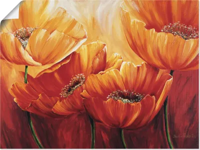 Produktbild von ARTland Poster Vier Mohnblumen Größe: 40x30 cm