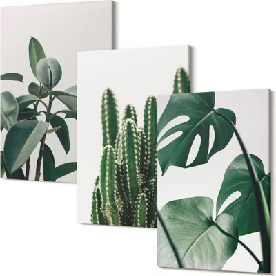 Produktbild von Wandbild – Leinwandbild – Leinwandbilder – Polycanvas – Kunstdruck – Modern – Panorama – Mehrteilig – 3-Teilig Set – Hochwertig – Lichtecht – Geruchslos – 20x30 Cm Je Element - Tropische Zimmerpflanzen ästhetische Blätter