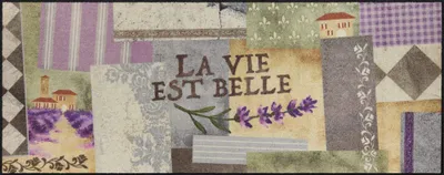 Produktbild von Salonloewe LA VIE EST BELLE Fußmatte Wohnmatte 75 x 190 cm
