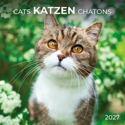Obrázok produktu pre Mačky / Cats 2027