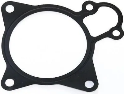Image de Joint De Pompe De Refroidissement Fiat Ducato 3.0D 06-