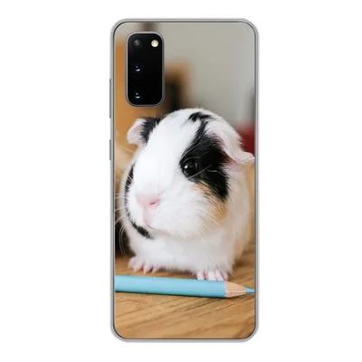 Produktbild von MuchoWow® Handyhülle Schutzhülle Hülle für Samsung Galaxy S20 Entzückende Baby-Meerschweinchen Silikon Softcase Handy Hülle - Bild