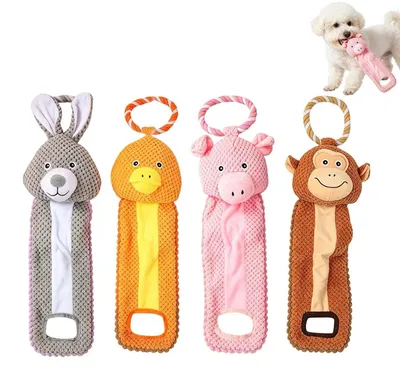 Image de Jouet interactif pour chiots et chats