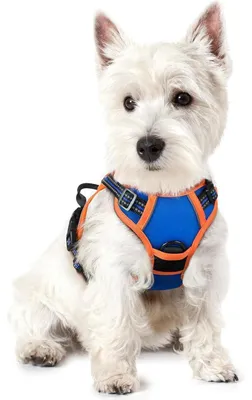 Produktbild von Hundegeschirr Anti Zug No Pull Verstellbar Atmungsaktiv Reflexstreifen Blau+Orange XS