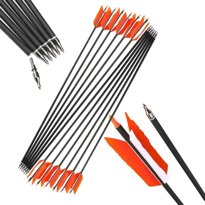 Immagine prodotto di Frecce per tiro con l'arco, con fusti in carbonio, lunghezza 76,2 cm, diametro interno 6,2 mm, piume di tacchino da 4 pollici, resistenza 500