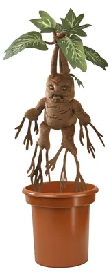 Produktbild von The Noble Collection Mandrake Elektronisch Interaktiv - Edle Kollektion