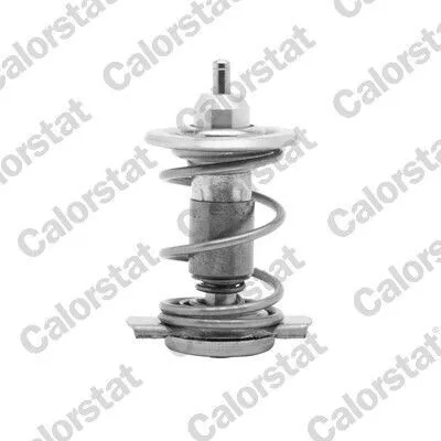 Produktbild von CALORSTAT by Vernet Thermostat