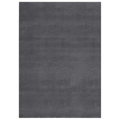 Image de Tapis shaggy doux lavable 160x230 cm Antidérapant Anthracite