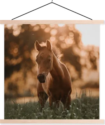 Produktbild von MuchoWow® Textilposter Pferd - Licht - Landschaft 60x60 cm mit holzfarbenen Rahmen - Wanddekoration