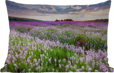 Produktbild von MuchoWow® Outdoor Kissen - Blumen - Lavendel - Lila - Himmel - Sonnenuntergang - Wiese - Natur - 50x30 cm - Wetterfest - Lounge Kissen - Sofa kissen - Wohnzimmer Dekoration
