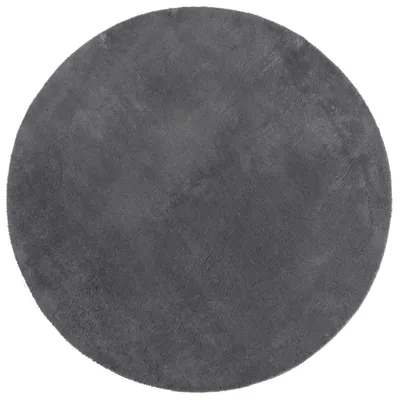 Produktbild von vidaXL Teppich HUARTE Kurzflor Weich und Waschbar Anthrazit Ø 80 cm