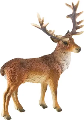 Produktbild von Rothirsch Figur Bullyland BL64433