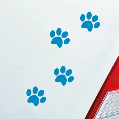 Produktbild von Auto Aufkleber Pfoten Paws Dog Hund Haustier Tier Pfote Paw 8x10 cm Hellblau Sticker Heckscheibenaufkleber