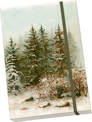 Image de Forêt de Noël de Notýsek