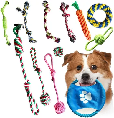 Produktbild von Set mit 12 starken Kauspielzeugen für Hunde, robustes und langlebiges Set von PetJet-Spielzeugen