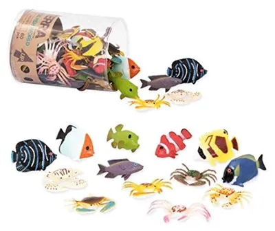 Imagen del producto de HCM Terra - Peces de agua tropical enlatados. Pescados y mariscos. 44843