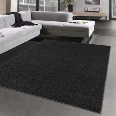 Zdjęcie produktu dla Dywan do przedpokoju i korytarza – trwały – jednolity kolor antracytowy – wymiary: 140 x 200 cm