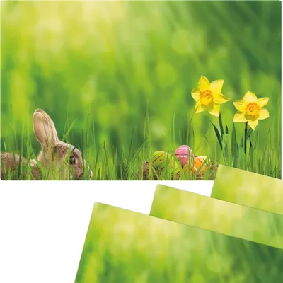 Immagine prodotto di Tovagliette lavabili set di 4 fiori di Pasqua narcisi
