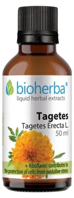 Obrázek produktu pro Aksamitník kapky – tinktura – 50 ml – Bioherba