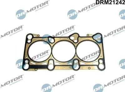 Produktbild von DR.MOTOR AUTOMOTIVE DRM21242 Zylinderkopfdichtung für AUDI A6 Avant (4F5, C6) A4 Avant (8ED, B7) A4 Avant (8E5, B6) A6 Avant (4B5, C5) A6 Limousine
