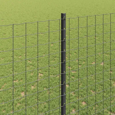 Produktbild von 22 graue Zaunpfosten aus Stahl, 200 cm, Set für den Garten