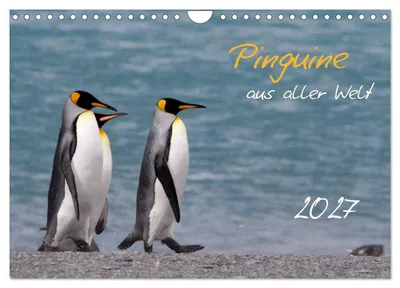 Produktbild von Pinguine aus aller Welt (Wandkalender 2027 DIN A4 quer), CALVENDO Monatskalender
